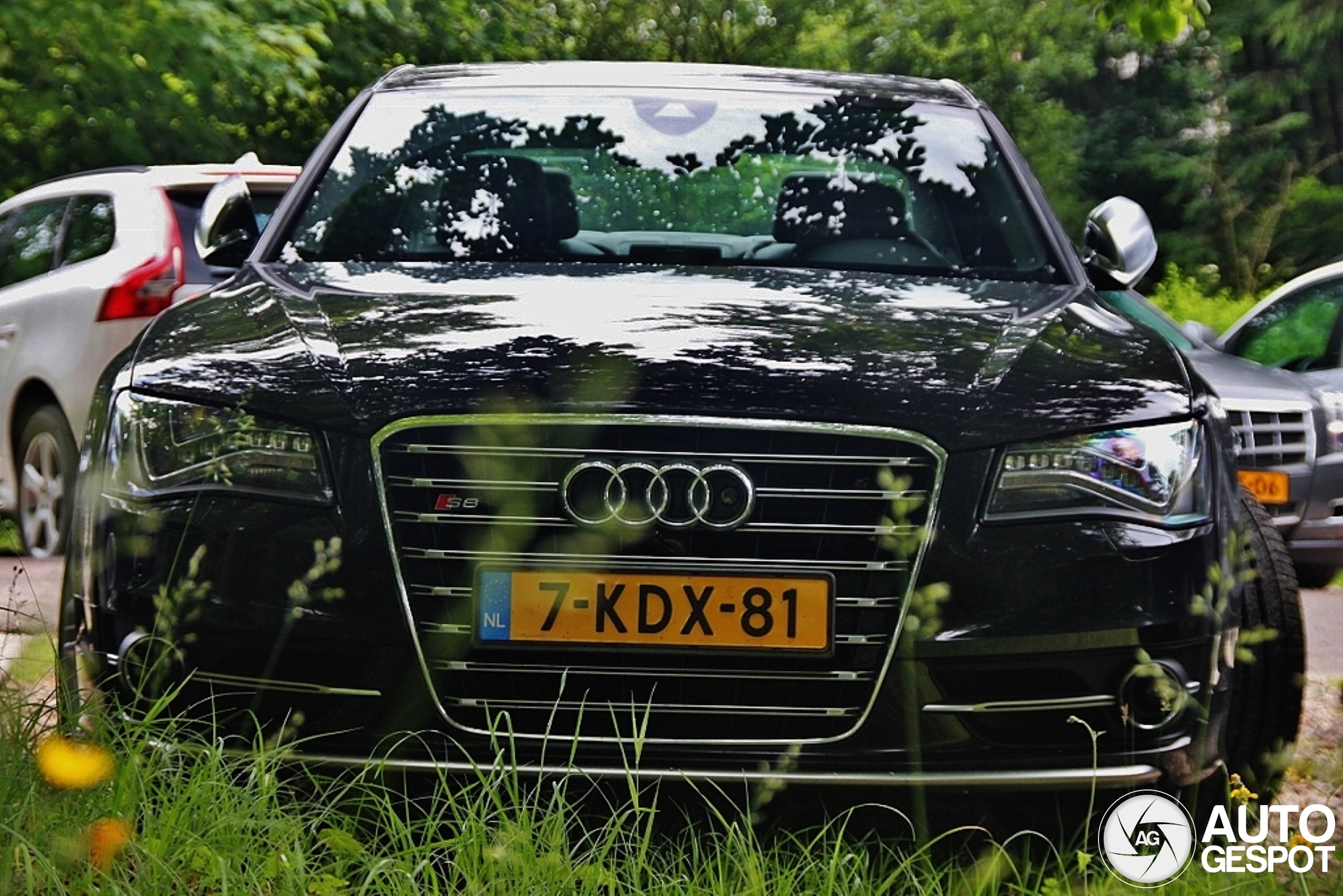 Audi S8 D4