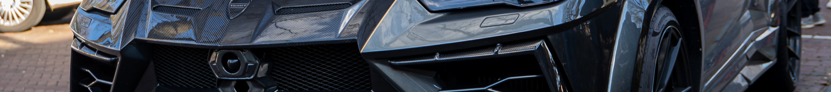 Lamborghini Urus Mansory Venatus