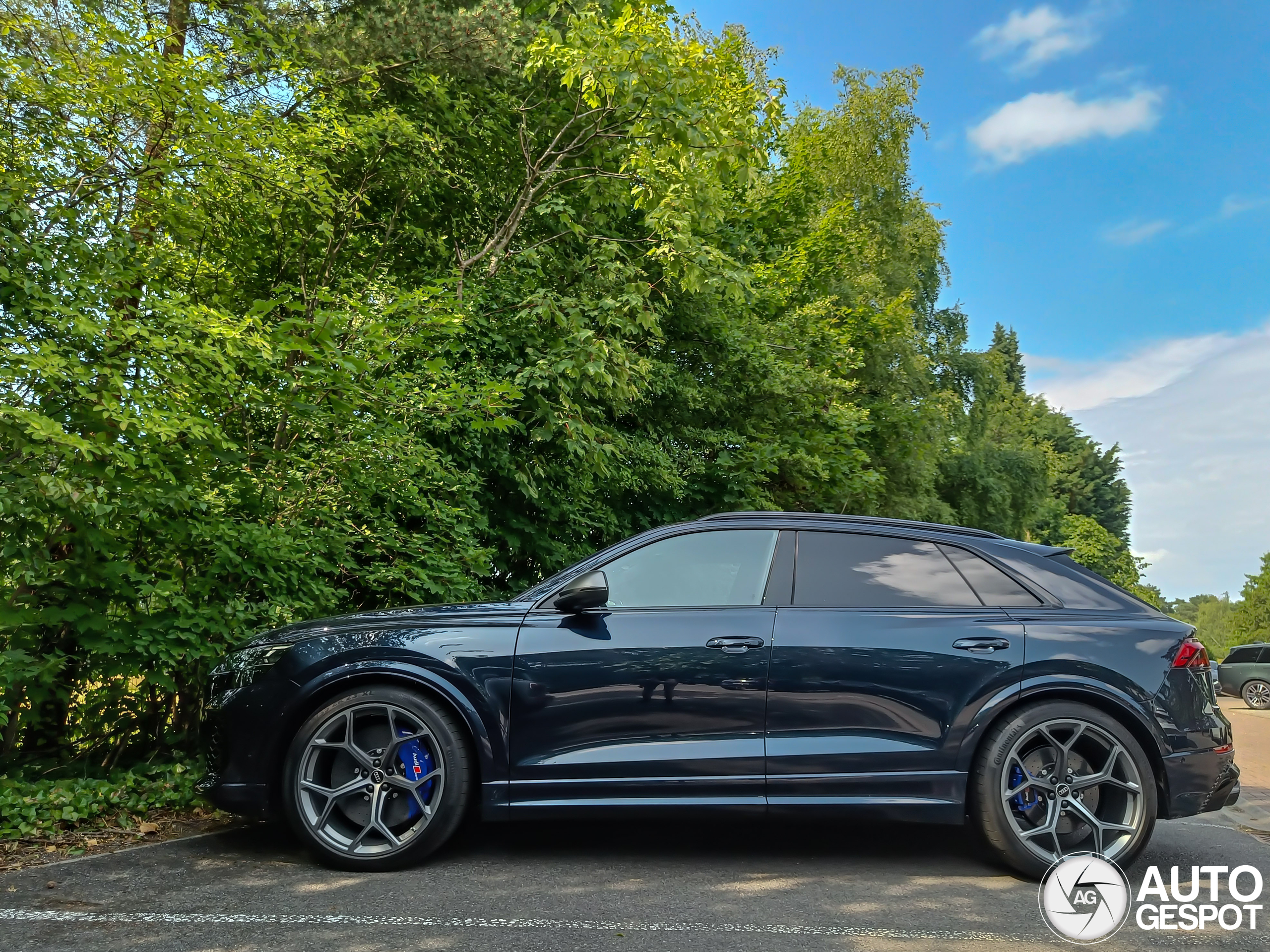 Audi RS Q8 2024
