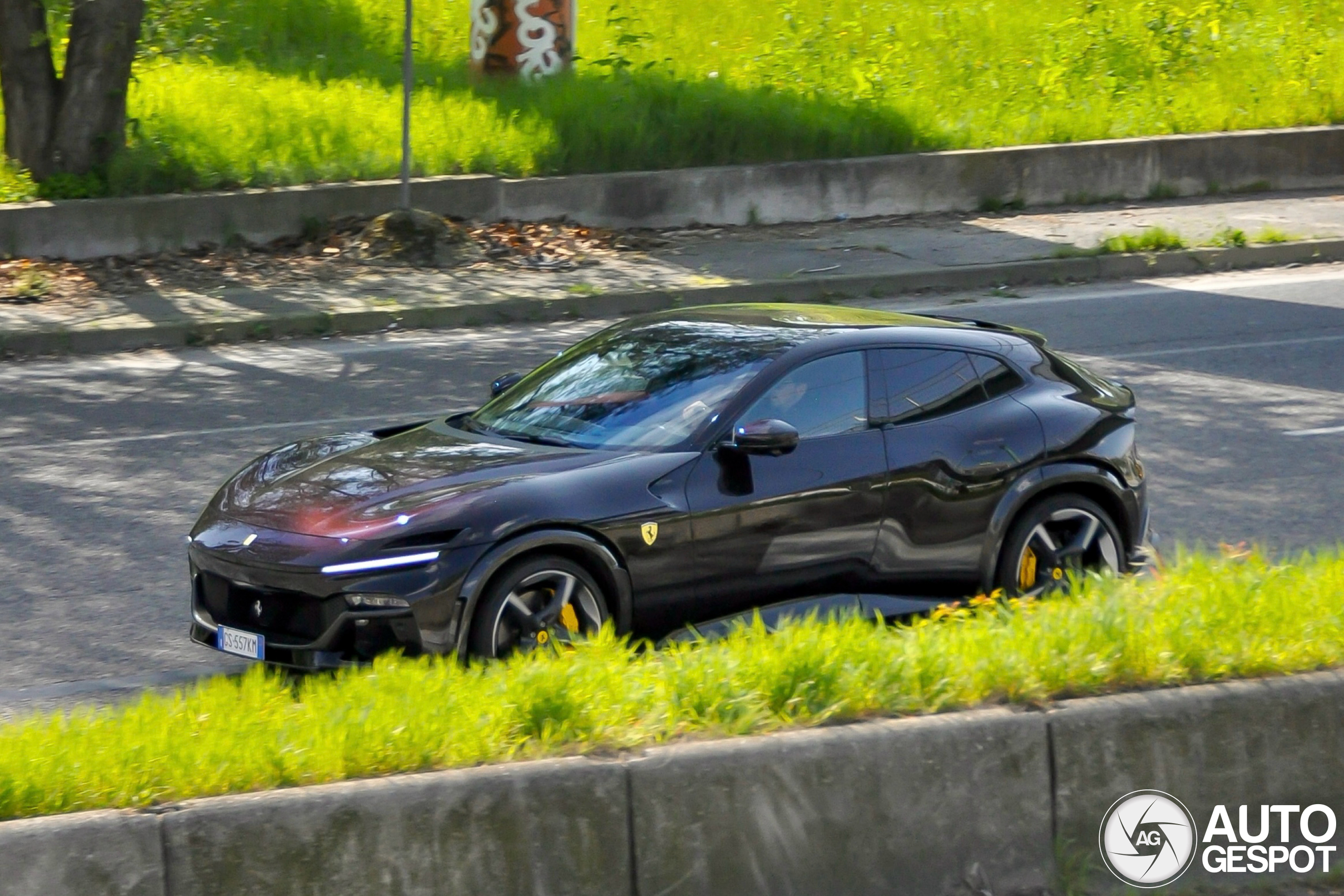 Ferrari Purosangue