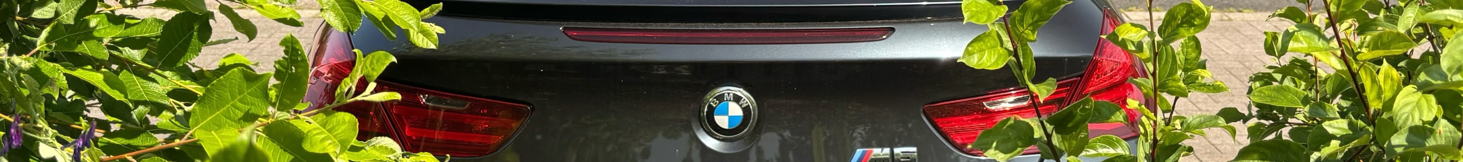 BMW M6 F13 Coupé