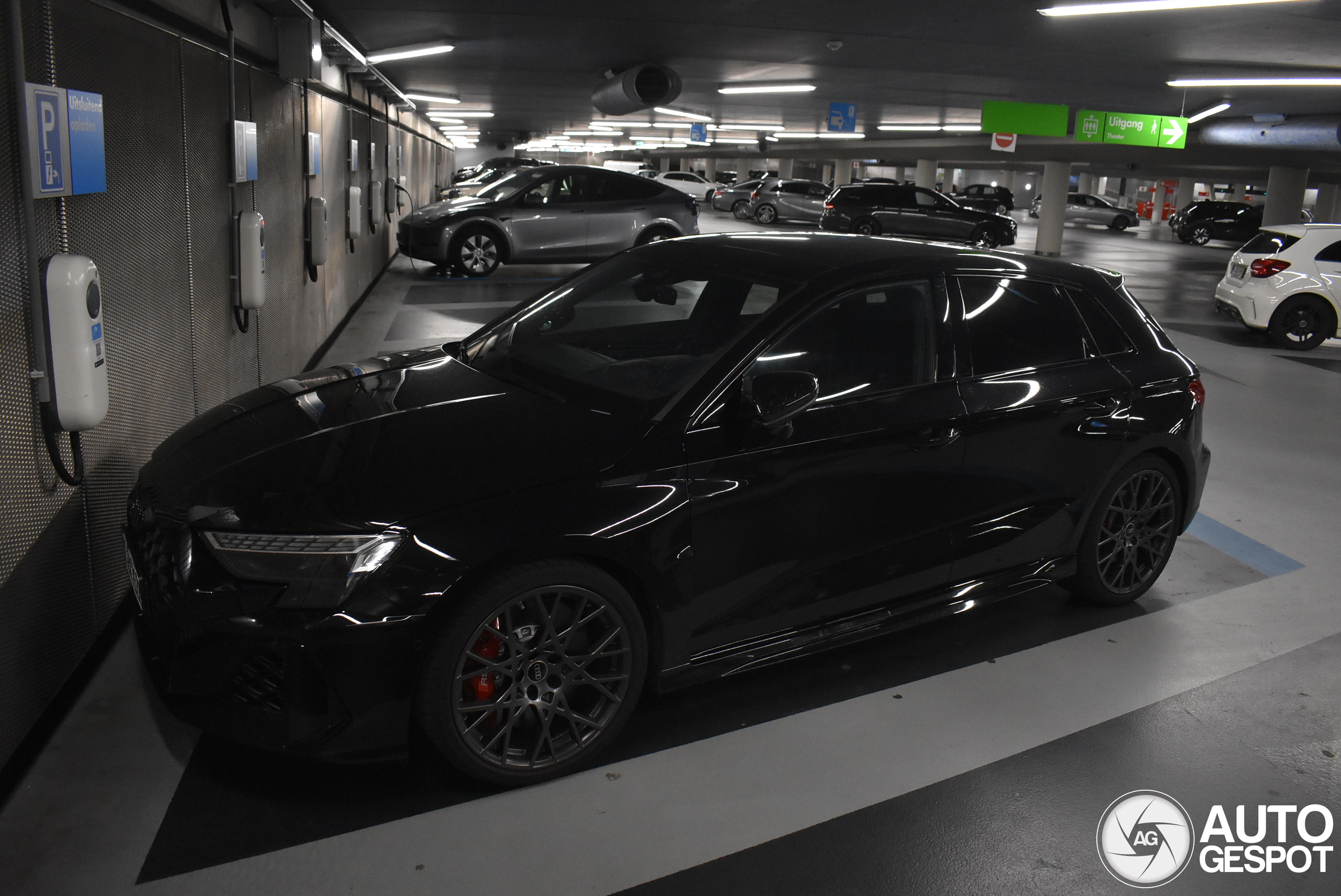 Audi RS3 Sportback 8Y 2025