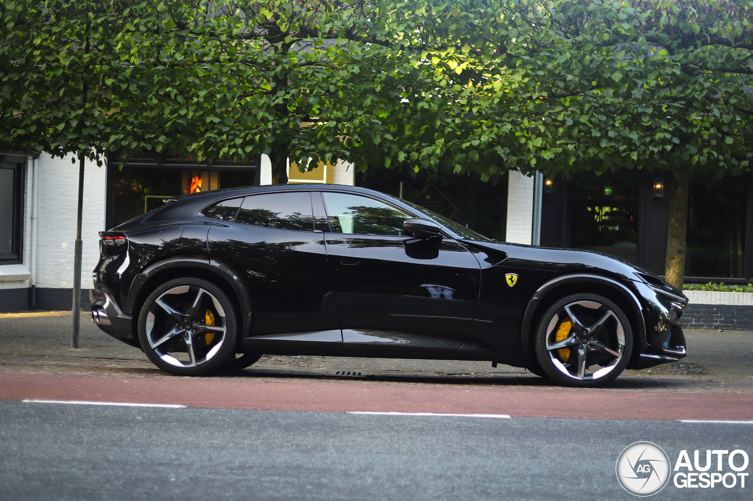 Ferrari Purosangue