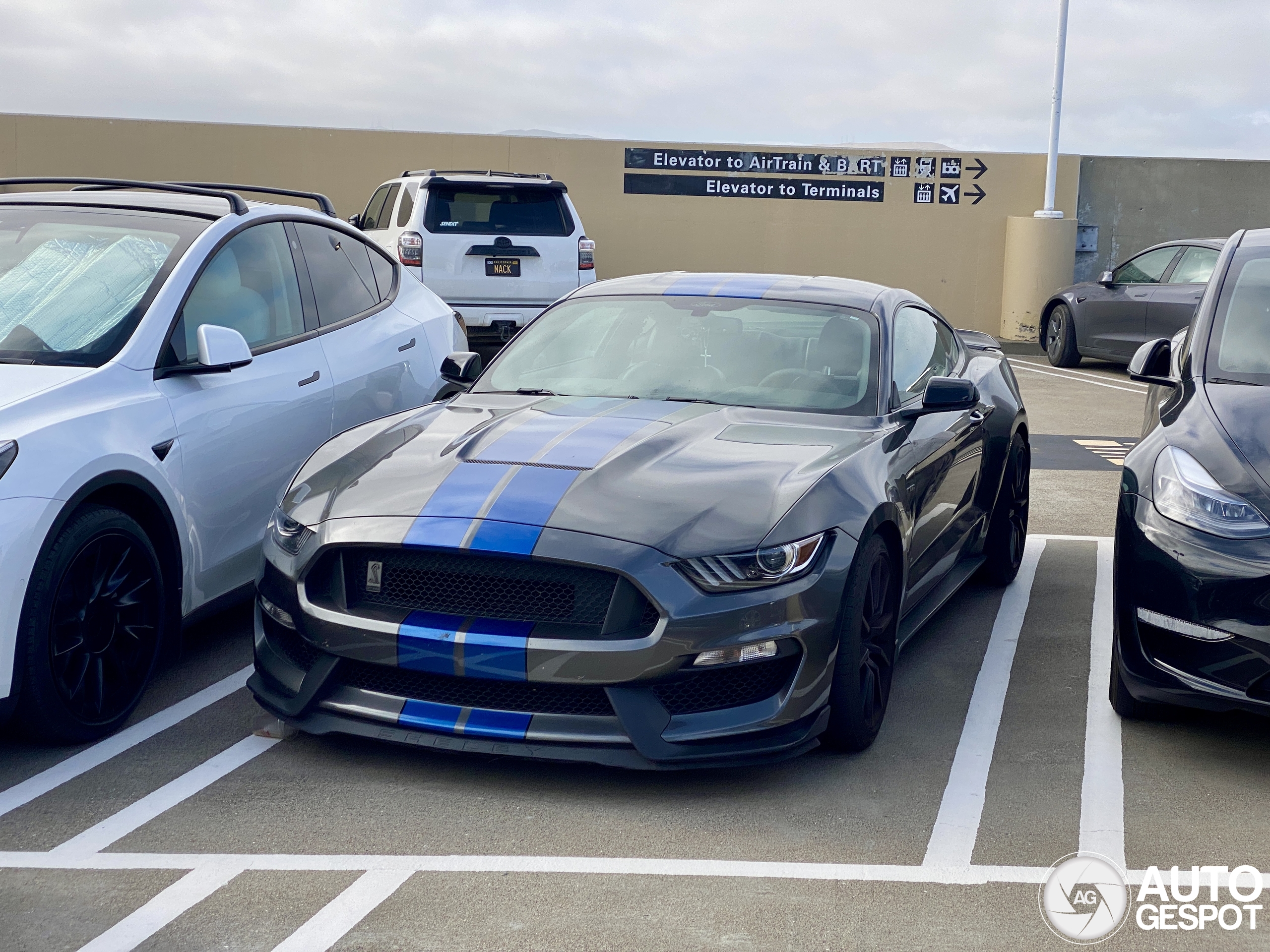 Ford Mustang Shelby GT350 2015