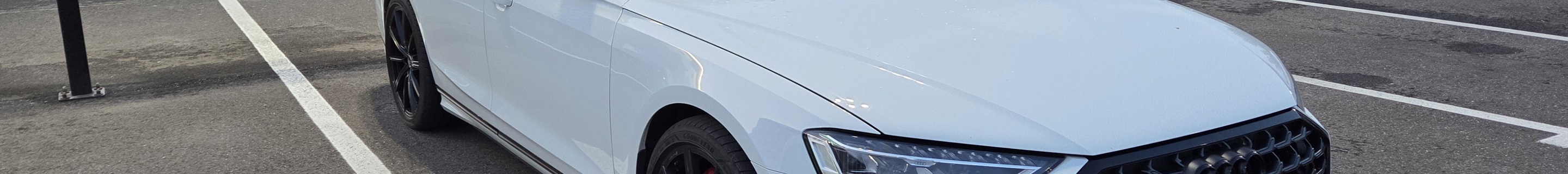 Audi S8 D5 2022