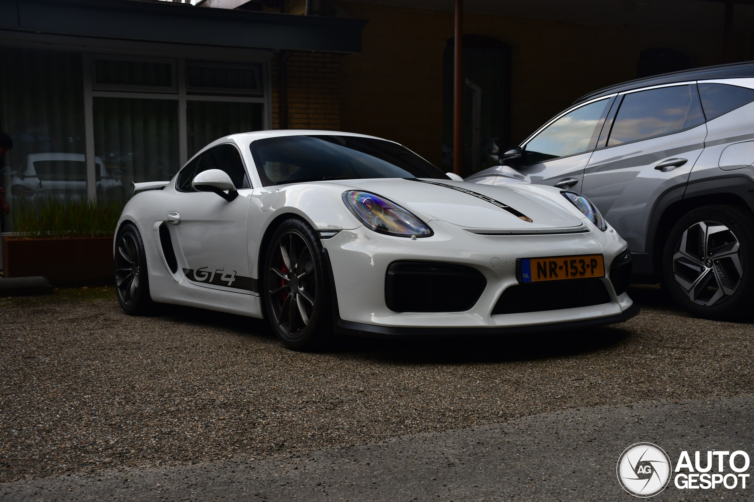 Porsche 981 Cayman GT4
