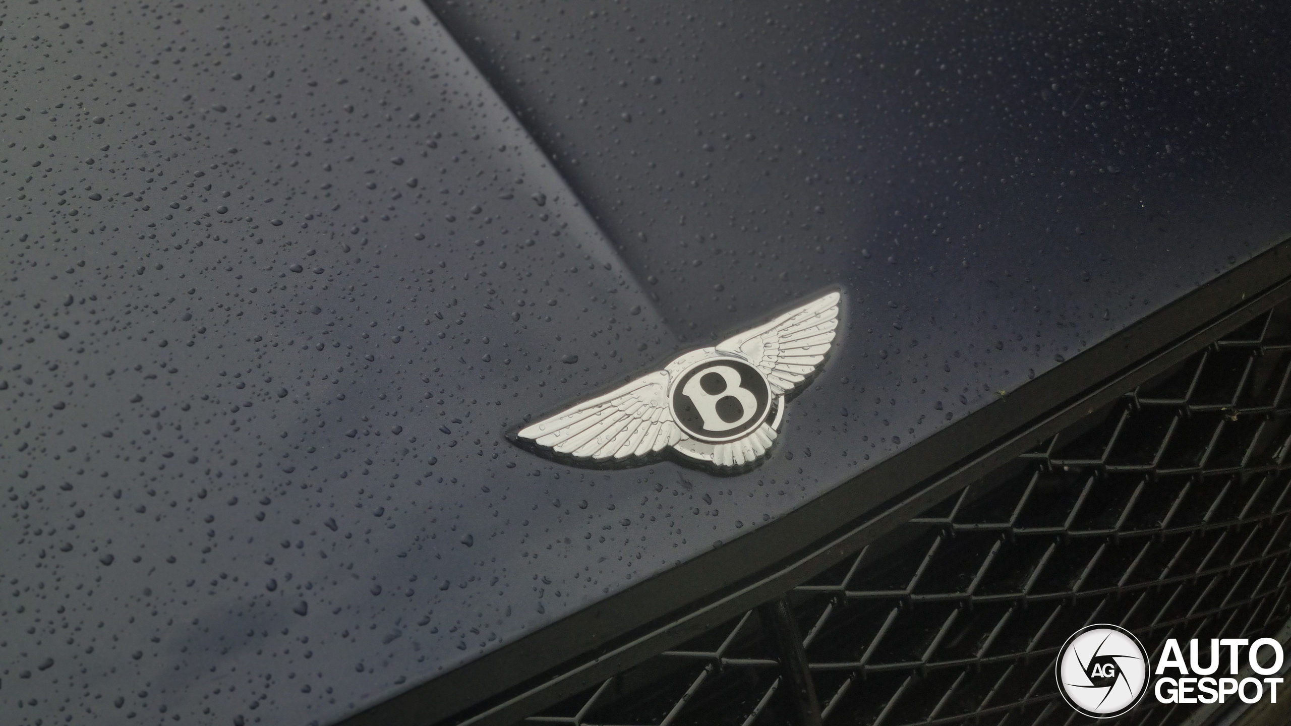 Bentley Continental GT Speed 2025 First Edition