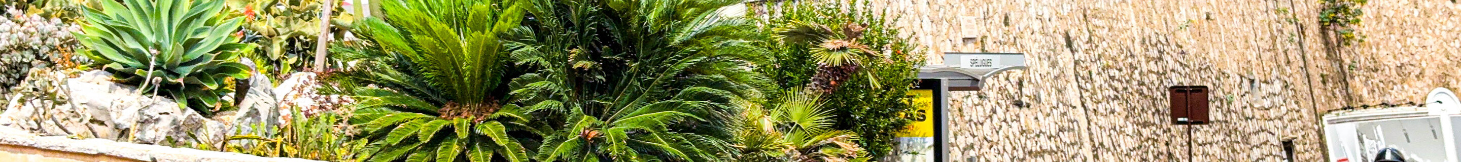 Porsche 718 RSK Spyder