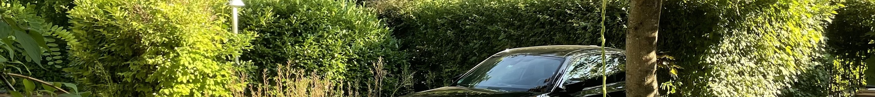 BMW M2 Coupé G87