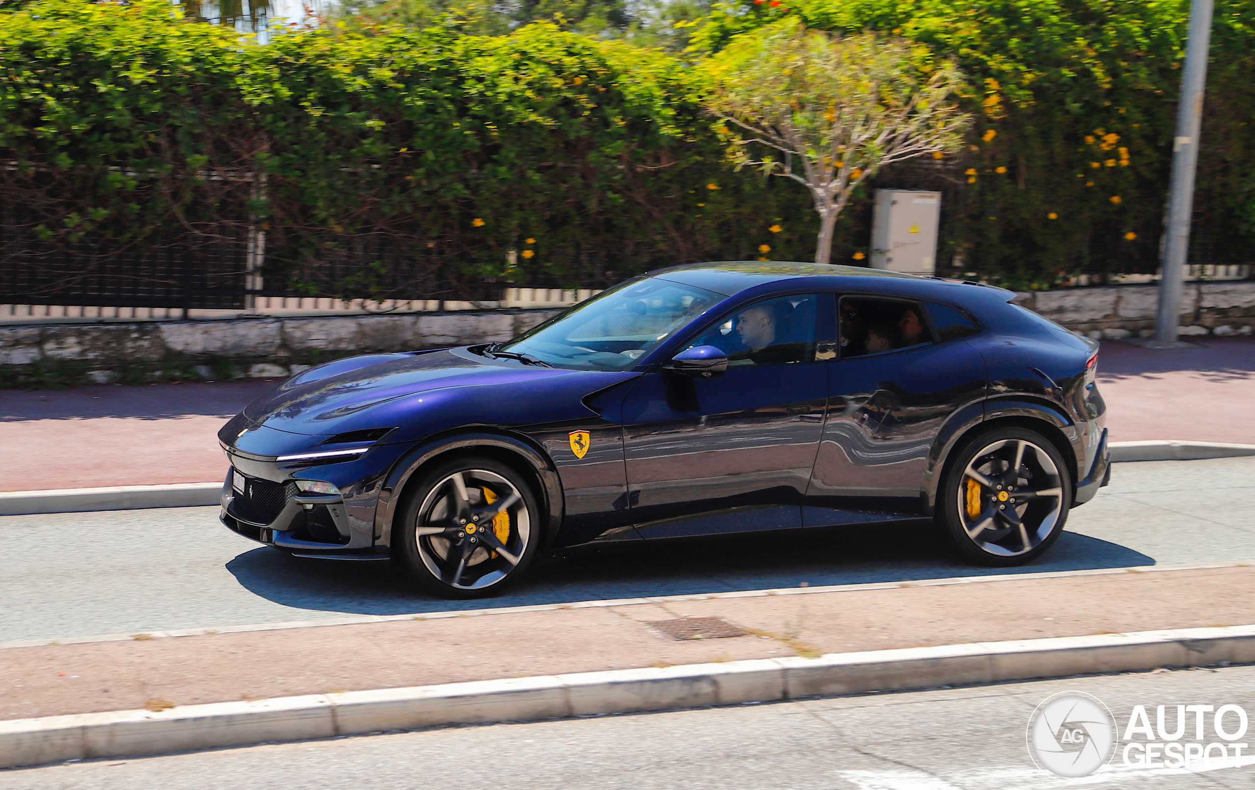 Ferrari Purosangue