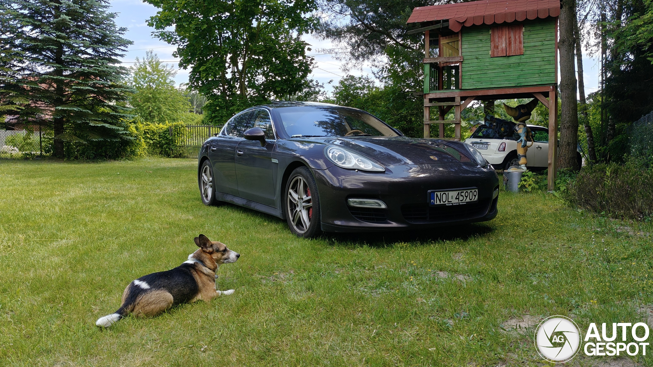 Porsche 970 Panamera Turbo MkI