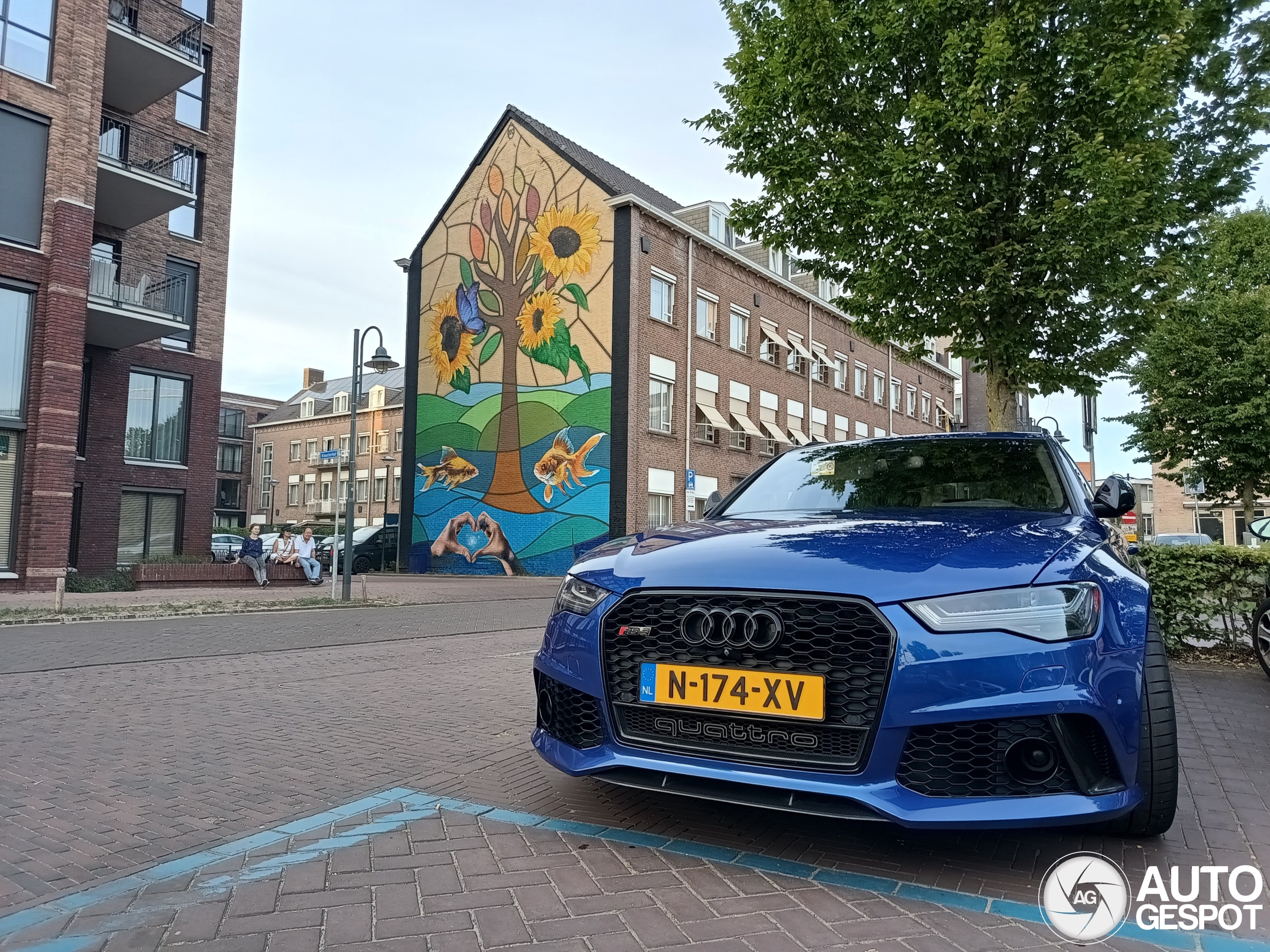 Audi RS6 Avant C7 2015