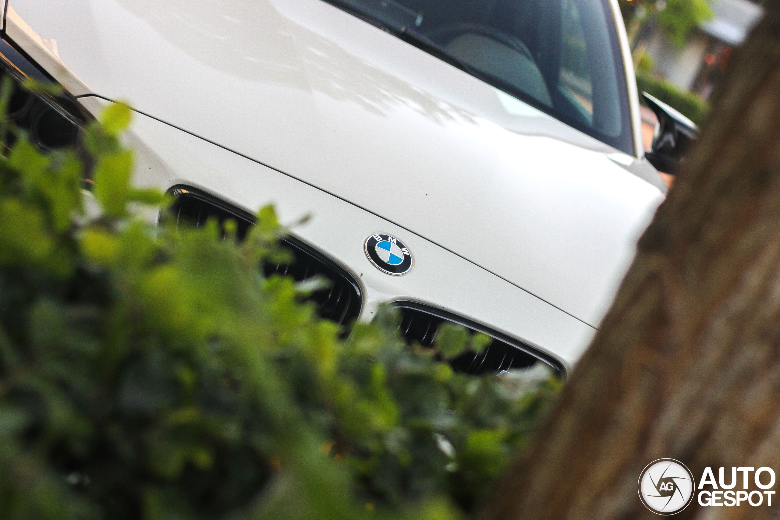 BMW M2 Coupé F87