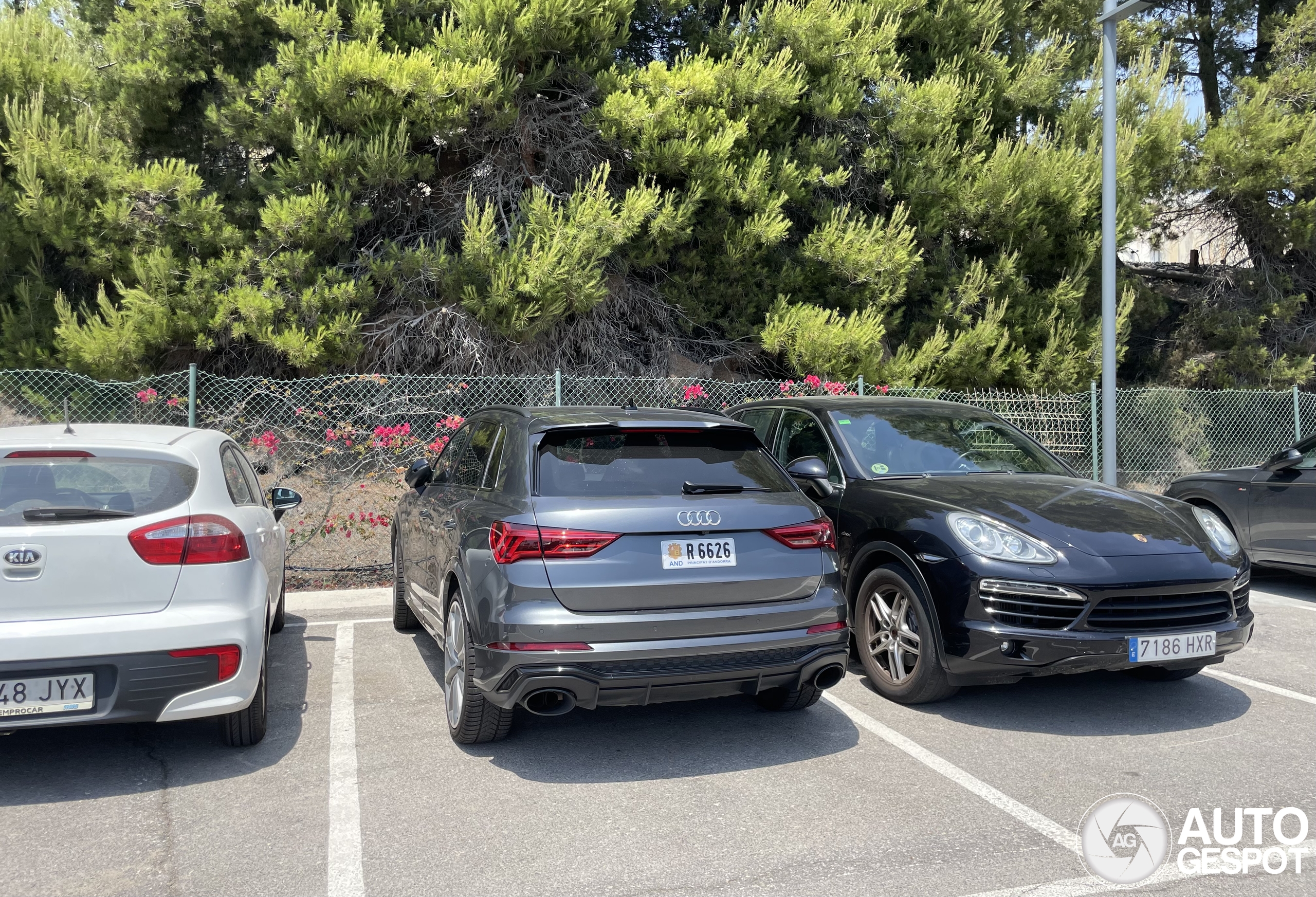 Audi RS Q3 2020