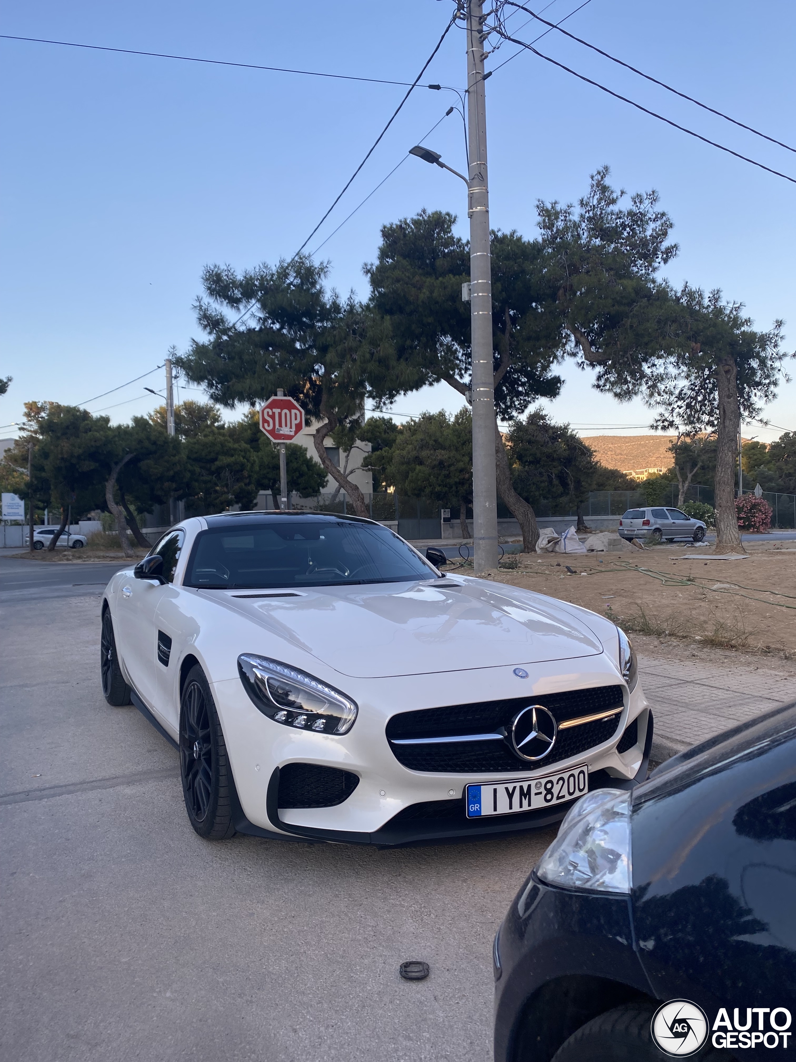Mercedes-AMG GT S C190 Edition 1