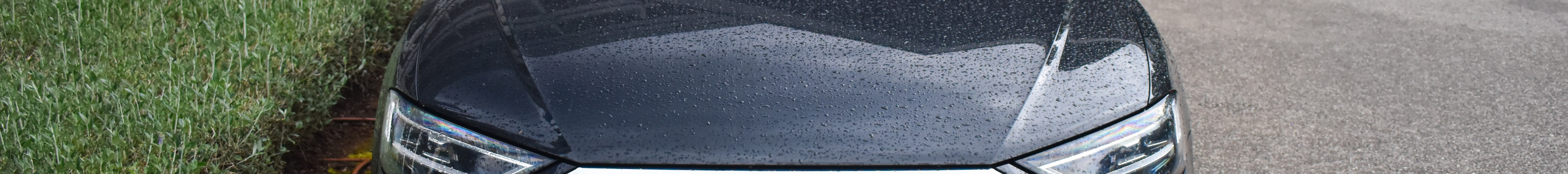 Audi S8 D5 2022