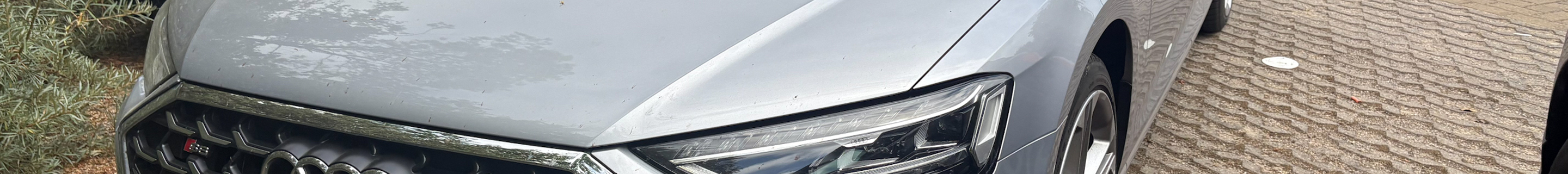 Audi S8 D5 2022