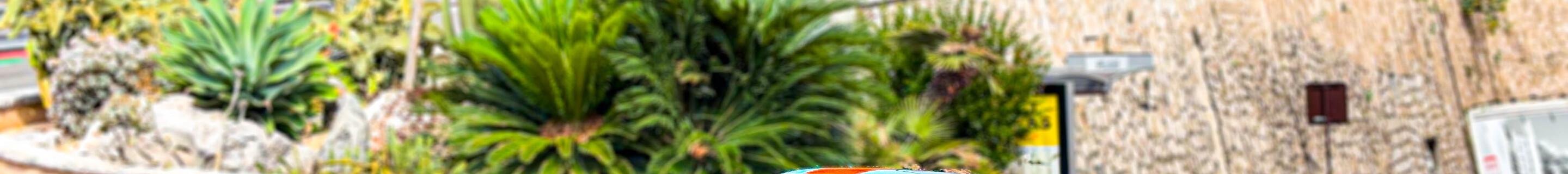 Ford GT Heritage Edition