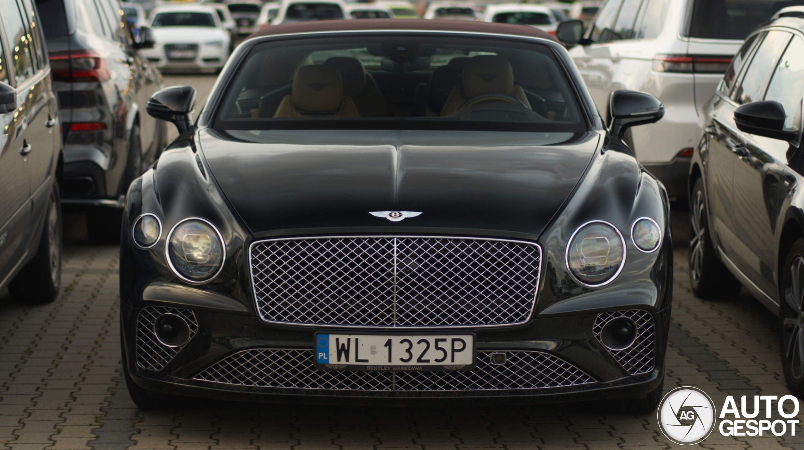 Bentley Continental GTC 2019 First Edition