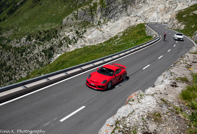 Porsche 981 Cayman GT4