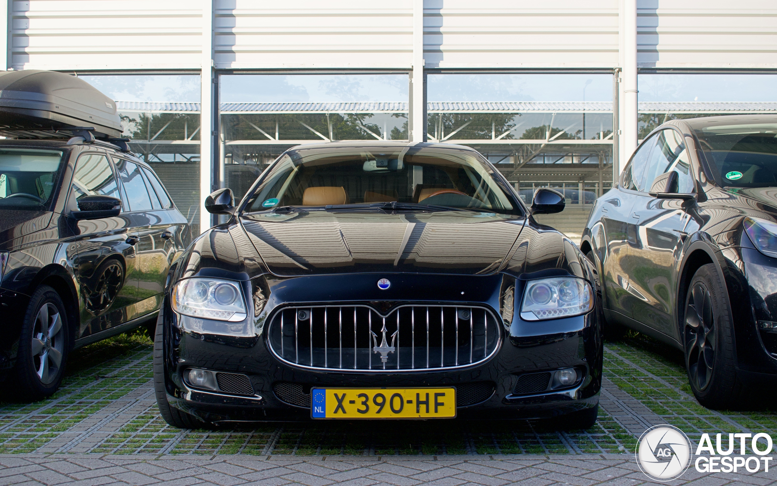Maserati Quattroporte 2008