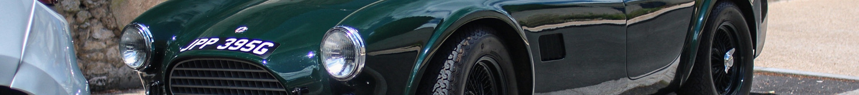 AC Cobra 289