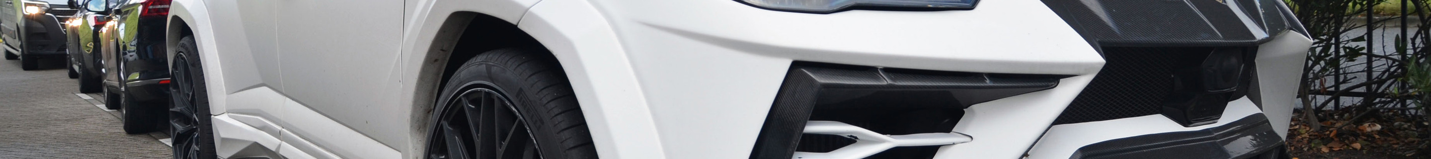 Lamborghini Urus Mansory Venatus