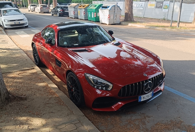 Mercedes-AMG GT S C190 2017