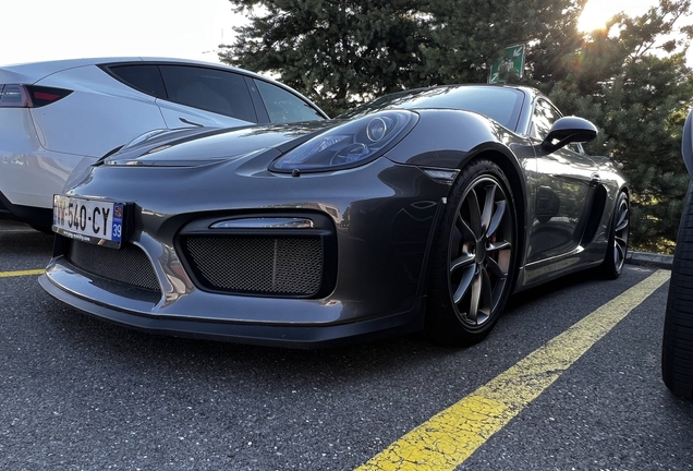 Porsche 981 Cayman GT4