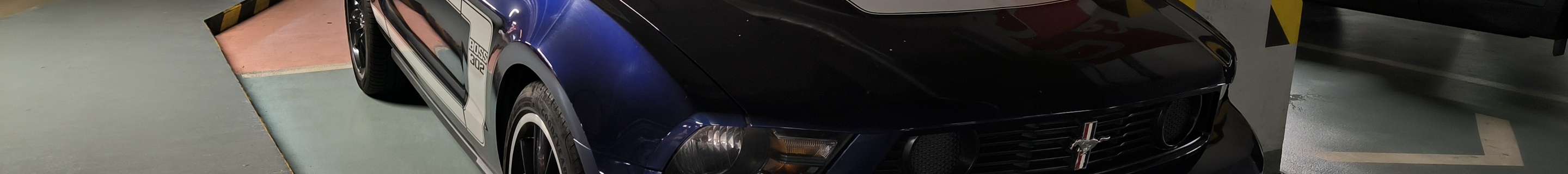 Ford Mustang Boss 302 2010