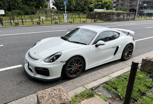 Porsche 981 Cayman GT4
