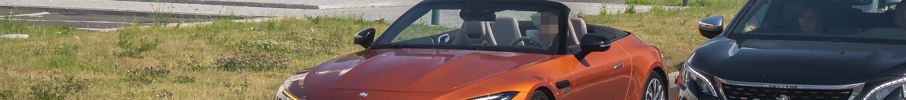 Mercedes-AMG SL 55 R232