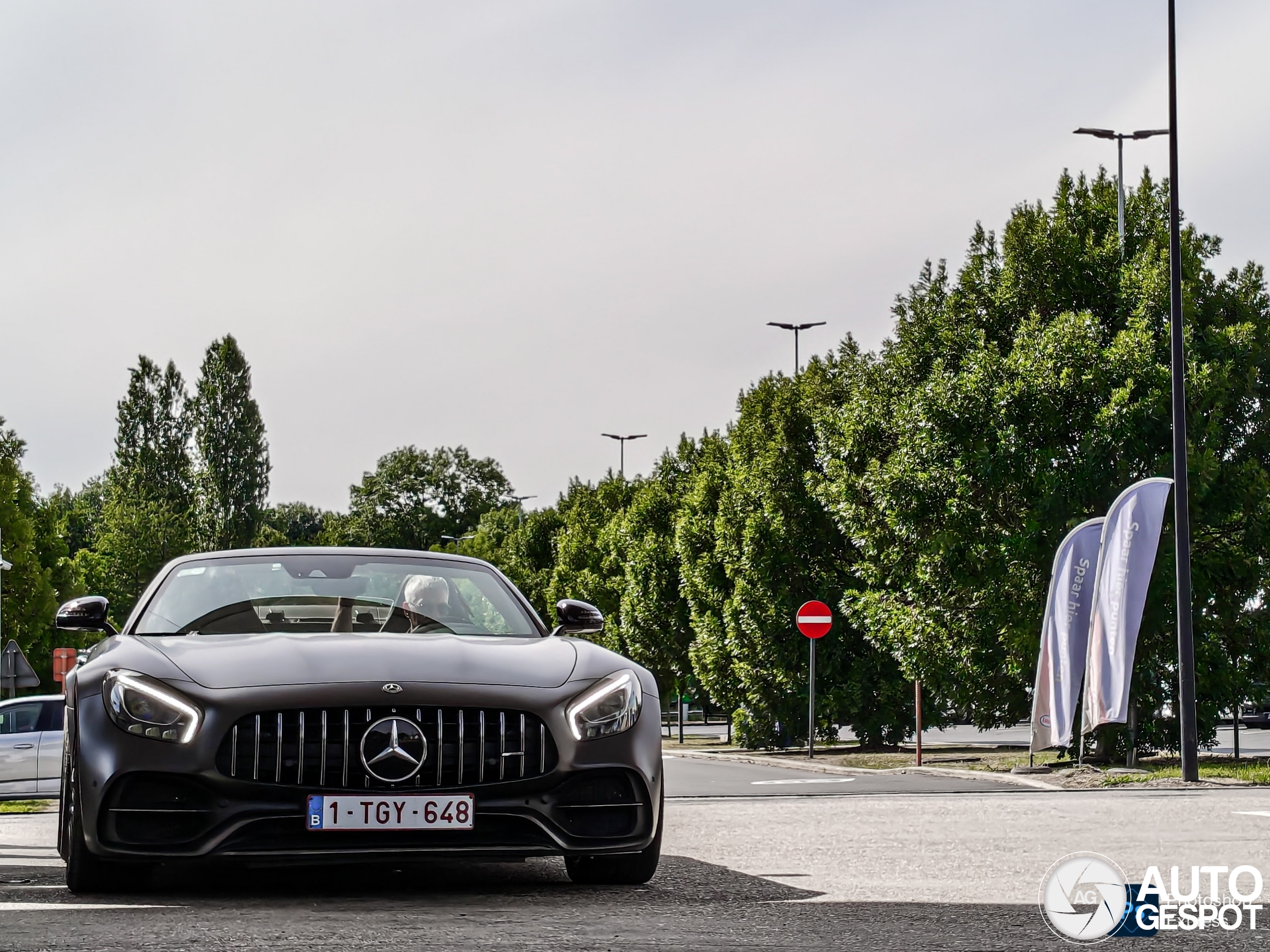 Mercedes-AMG GT C Roadster R190 Edition 50