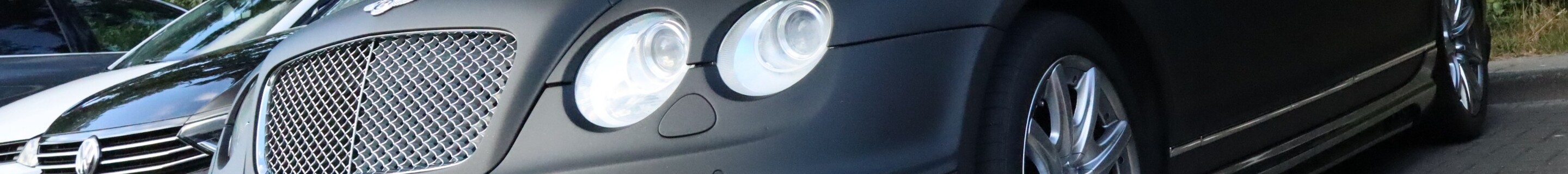 Bentley Wald Continental Flying Spur Black Bison