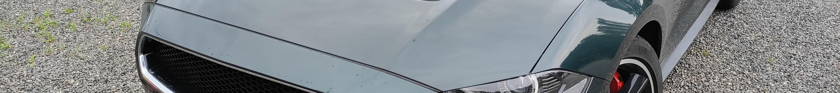 Ford Mustang Bullitt 2019