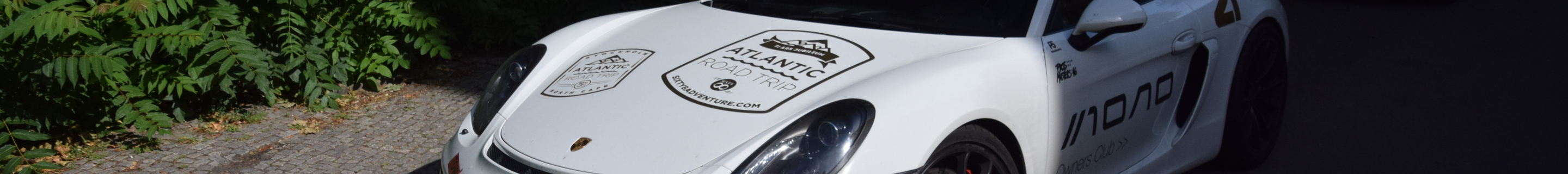 Porsche 981 Cayman GT4