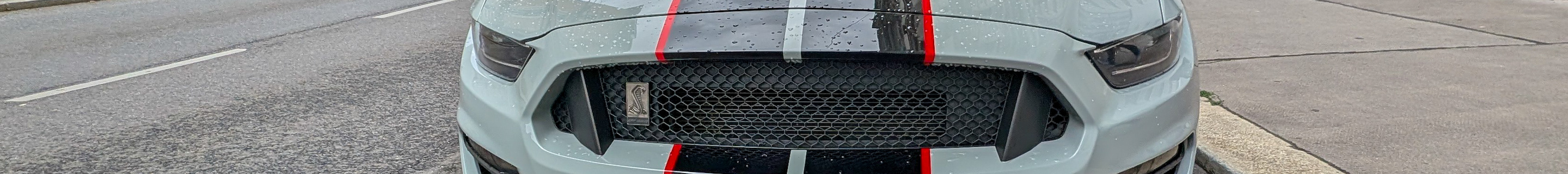 Ford Mustang Shelby GT350 2015