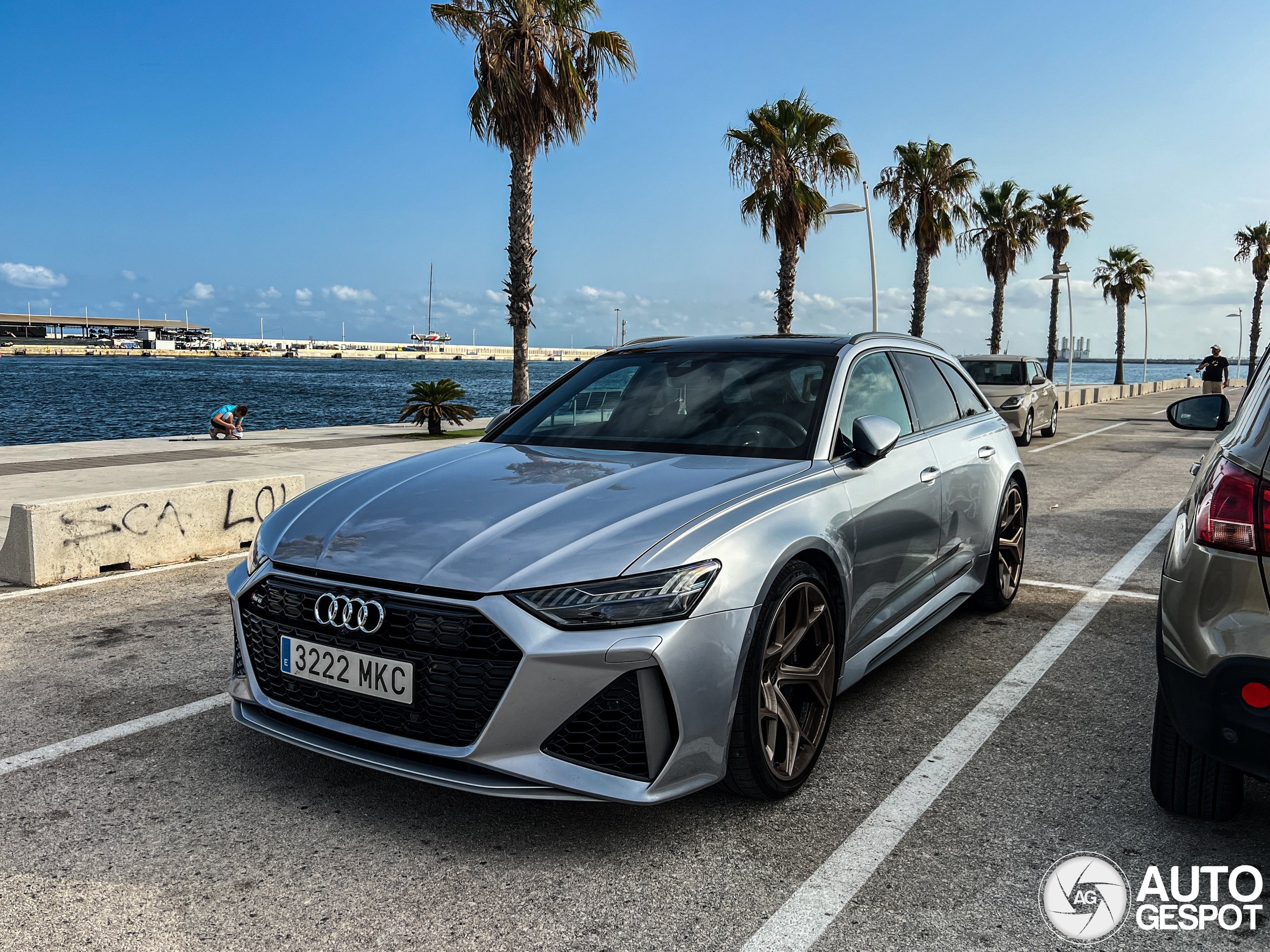 Audi RS6 Avant C8