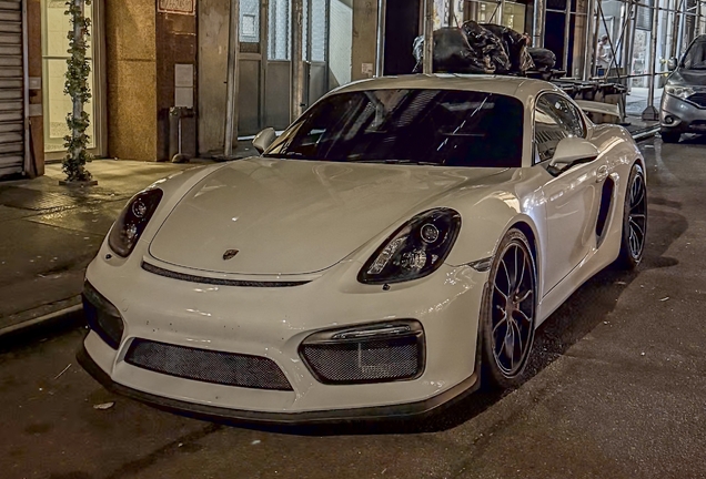 Porsche 981 Cayman GT4