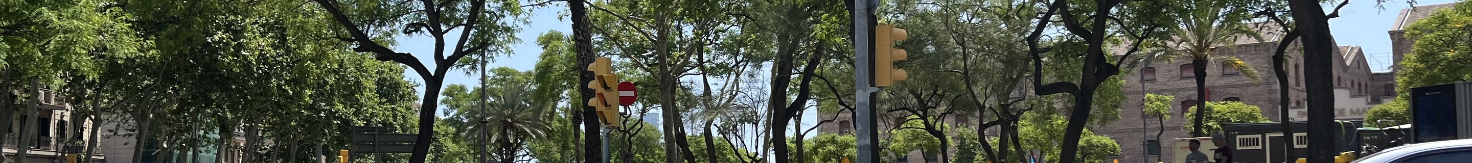 Porsche 718 Spyder RS Weissach Package