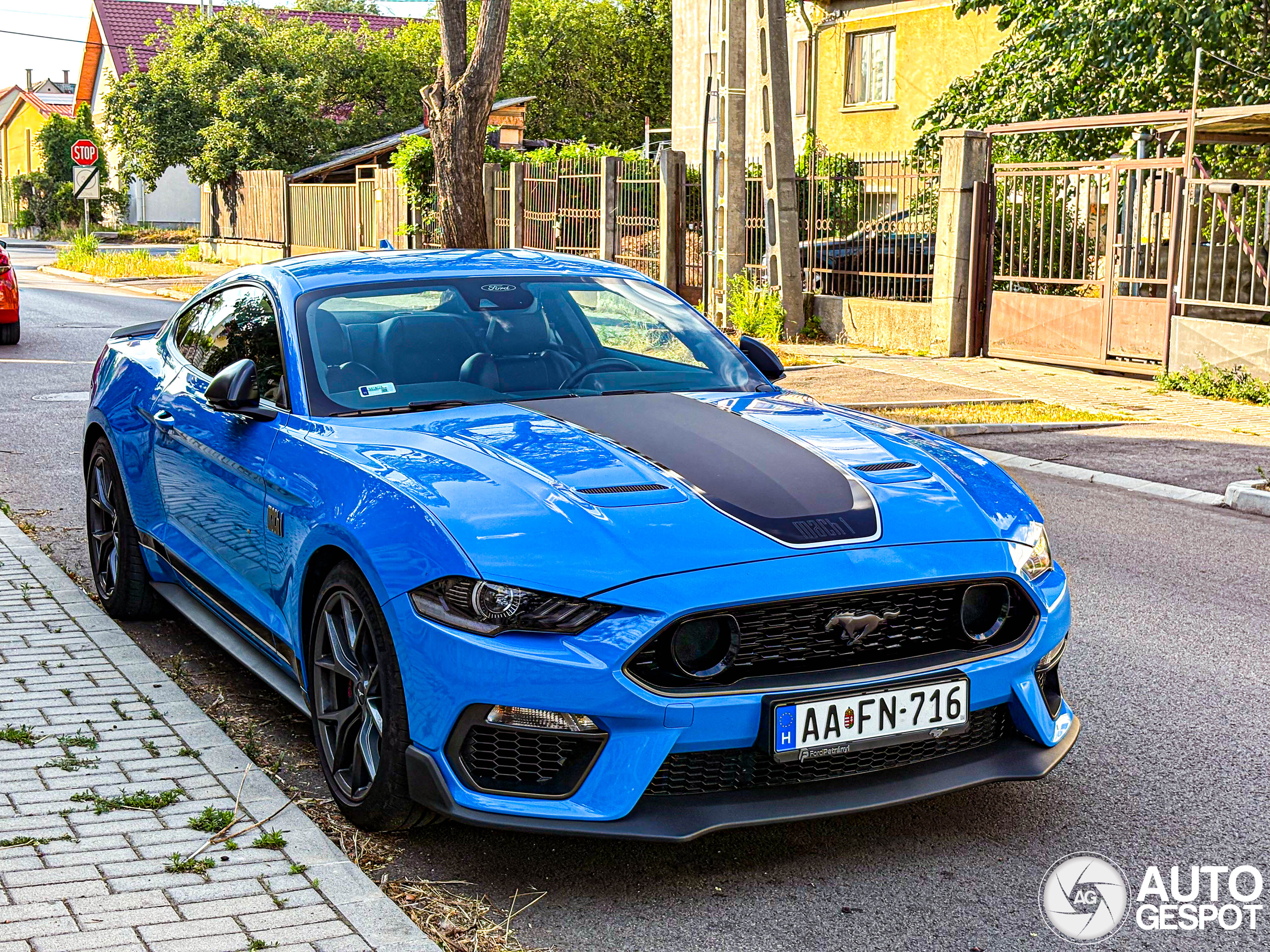 Ford Mustang Mach 1 2021