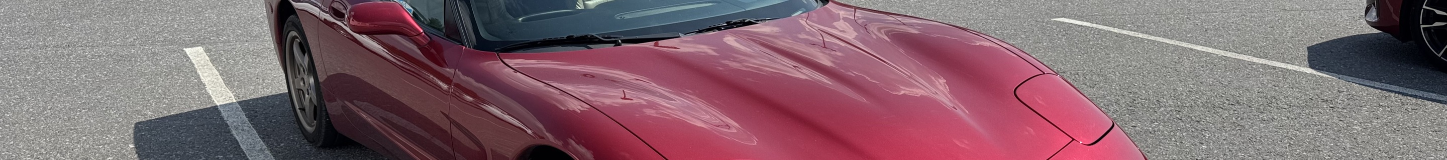 Chevrolet Corvette C5