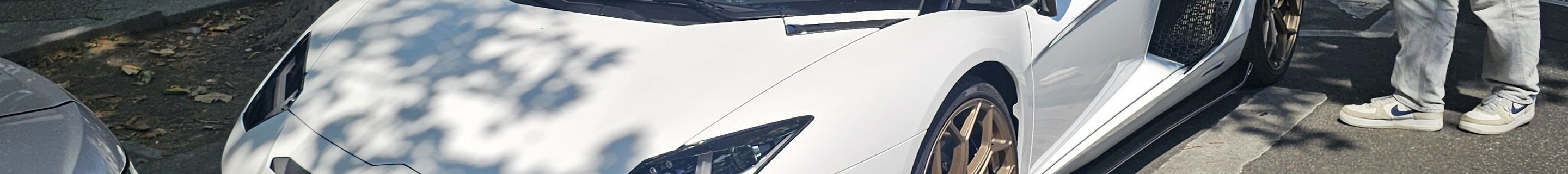 Lamborghini Aventador LP770-4 SVJ Roadster