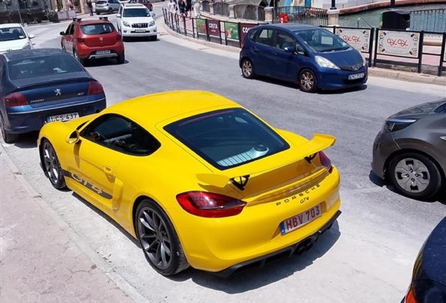 Porsche 981 Cayman GT4