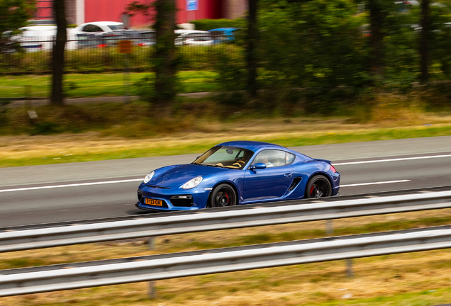 Porsche 987 Cayman S