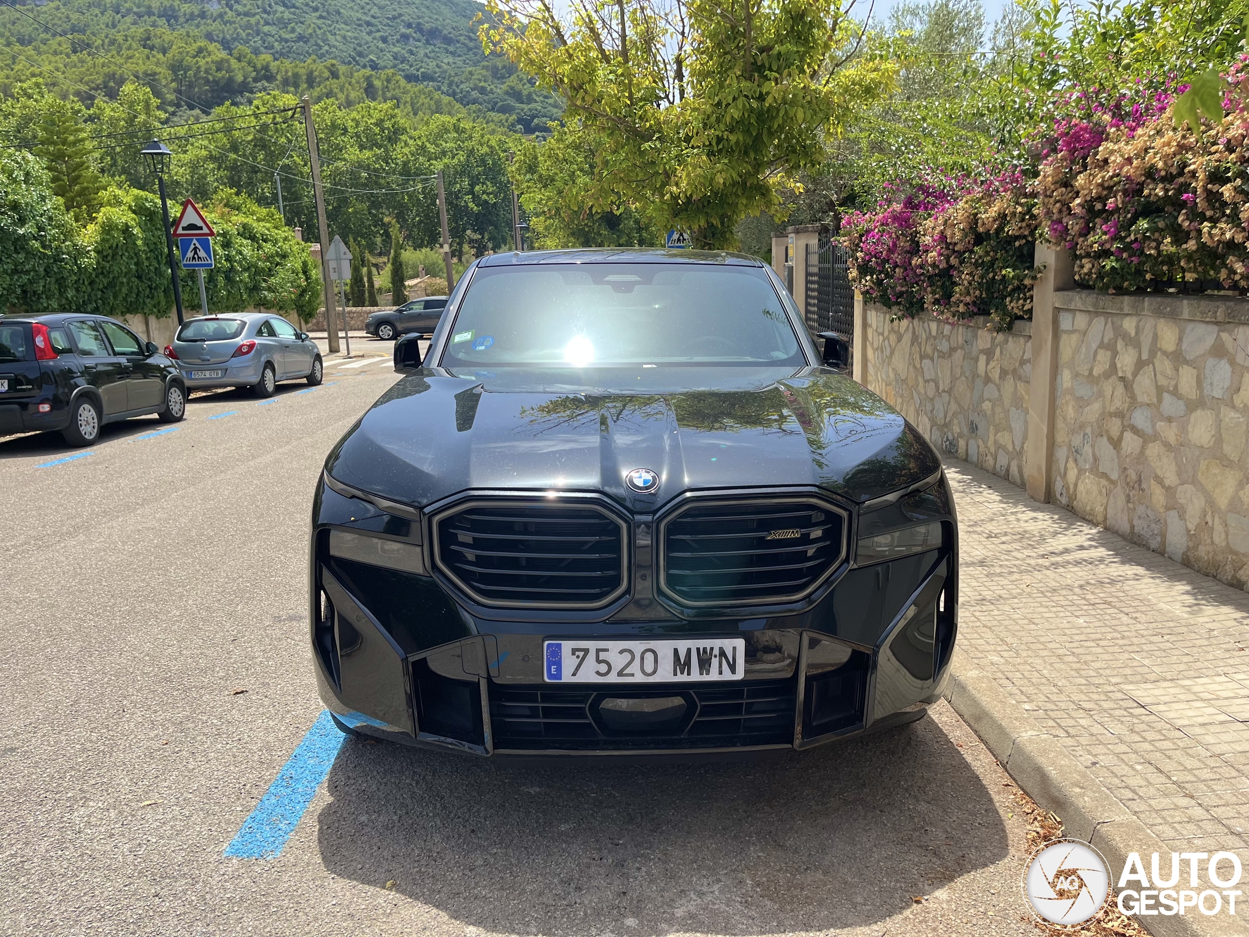 BMW XM G09