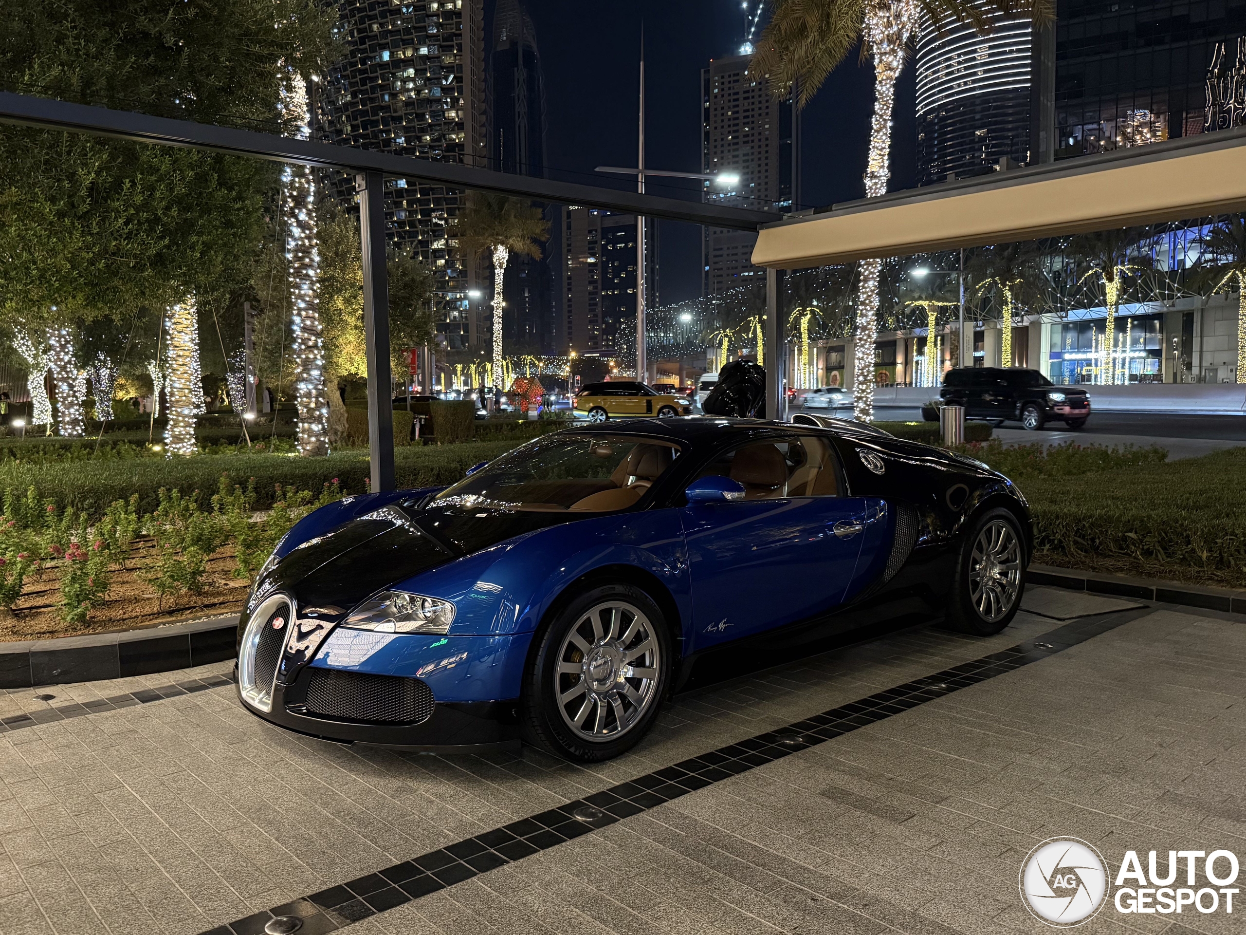 Bugatti Veyron 16.4