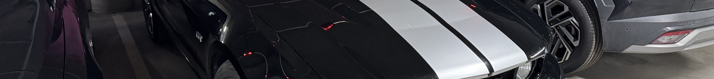 Ford Mustang GT 2010