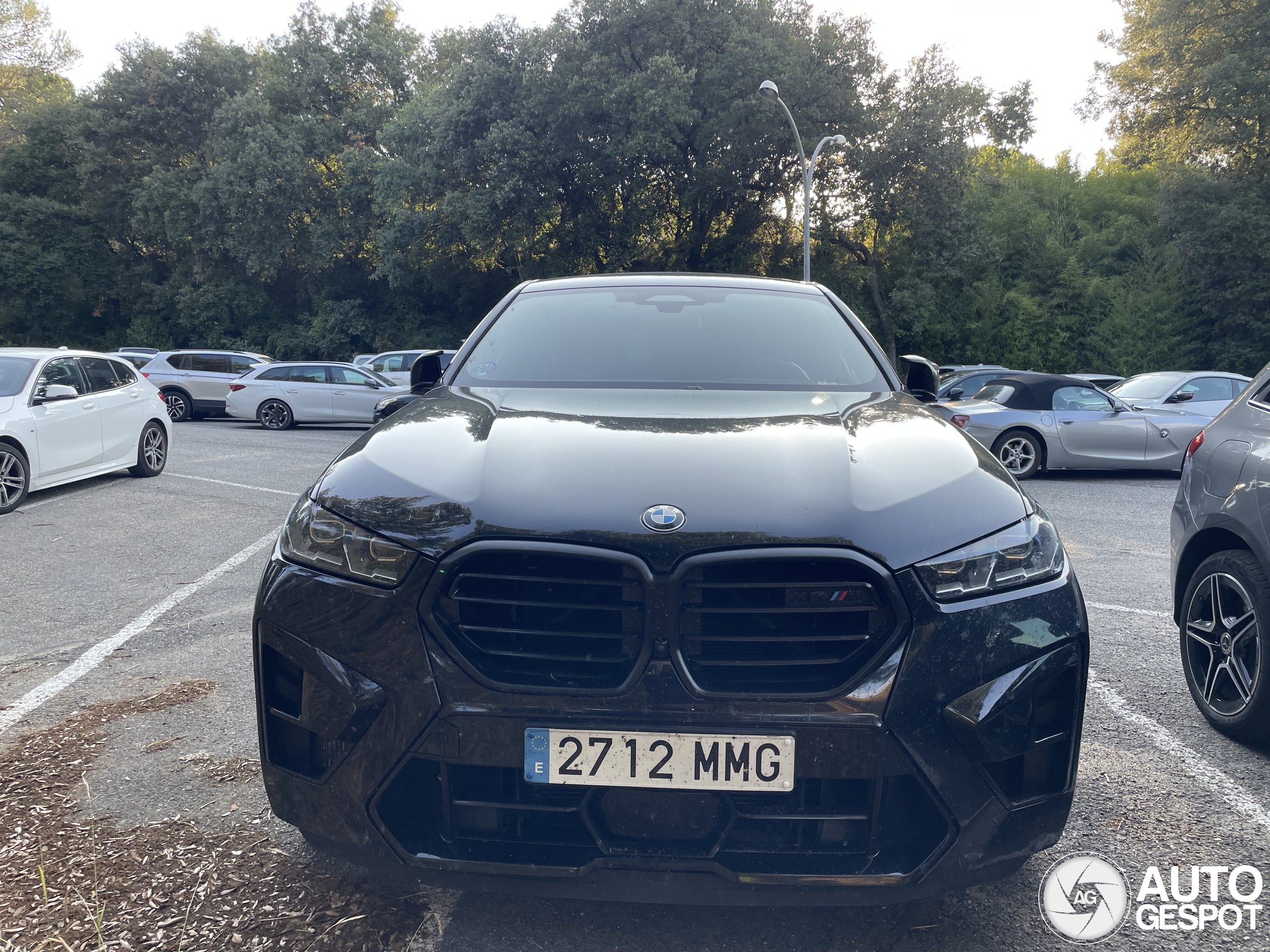 BMW X6 M F96 Competition 2024