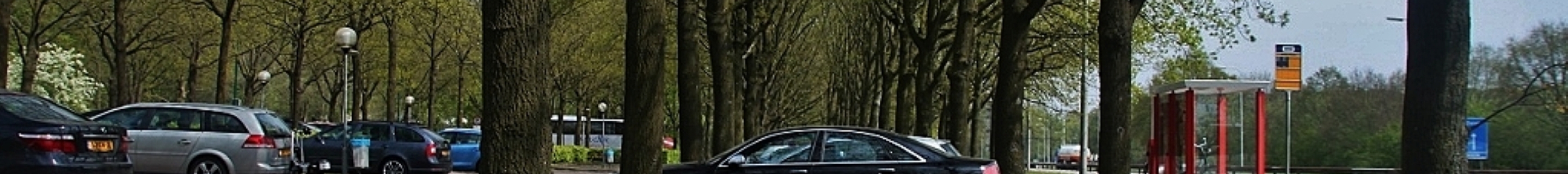Audi S8 D3